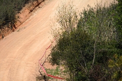 portugal_003
