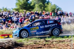 WRC 2016_Sabado-117