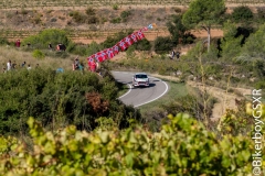 WRC 2016_Sabado-121