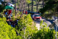 WRC 2016_Sabado-136