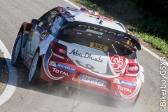 WRC 2016_Sabado-25