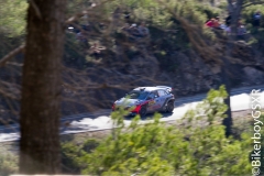 WRC 2016_Sabado-55