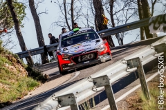 WRC 2016_Sabado-56