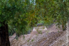 WRC_2016_Viernes-27