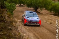WRC_2016_Viernes-29