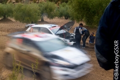 WRC_2016_Viernes-34