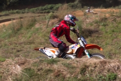 mxpuigemont01-2020