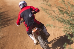 mxpuigemont03-2020