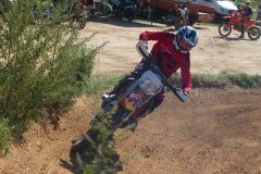 mxpuigemont04-2020