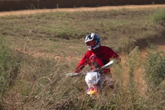 mxpuigemont05-2020