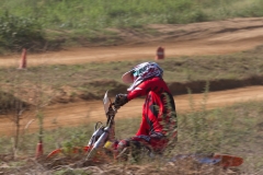 mxpuigemont07-2020