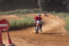 mxpuigemont10-2020