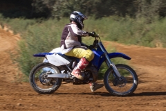 mxpuigemont11-2020