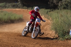 mxpuigemont12-2020