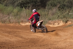 mxpuigemont14-2020