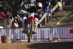 TT Christmas 2021